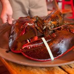 An employee shows of the catch of the day, a 10 pound lobster at the Barking Crab in Boston, MA A giant 10 pound lobster at the Barking Crab in Boston, MA