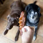 Everyone loves bacon Bacon BaCoN BACON! Everyone loves bacon Bacon BaCoN BACON!