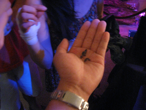 Scorpion segments looking tasty Scorpion segments looking tasty
