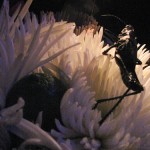 live sample of an edible grasshopper