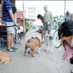 Austin Cupcake Smackdown Pre Party - Doggies outside of Walton's