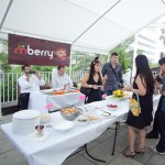 Flavor Tripping with the Berry Fairy in Austin - The buffet
