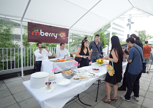 Flavor Tripping with the Berry Fairy in Austin - The buffet Flavor Tripping with the Berry Fairy in Austin - The buffet