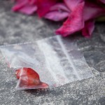 Flavor Tripping with the Berry Fairy in Austin - Miracle Berry