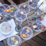 Austin Cupcake Smackdown - Entries are piling up - too many cupcakes!