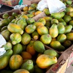 Papayas - 20 cents a piece!