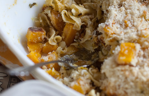 Macaroni Closeup Macaroni Closeup