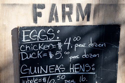 Farm Fresh Eggs Farm Fresh Eggs